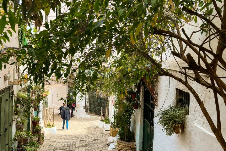 Algiers Casbah Stairs Narrow Streets in Algeria