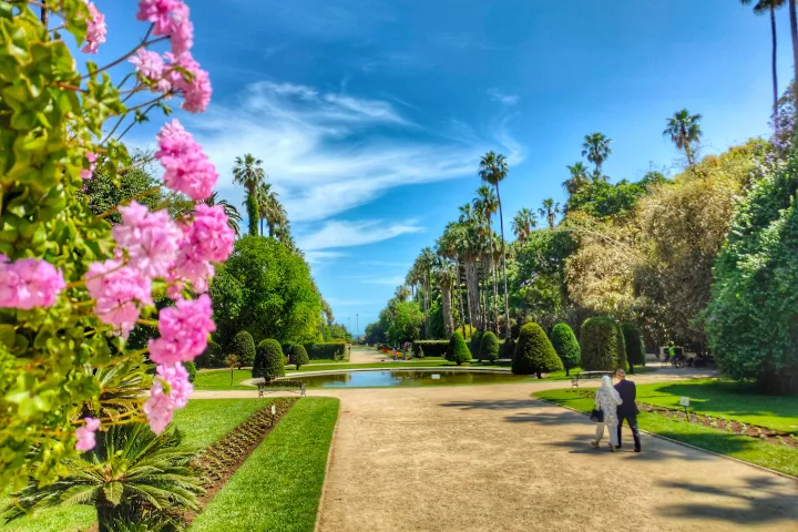 Algiers Hamma Botanical Garden in Algeria