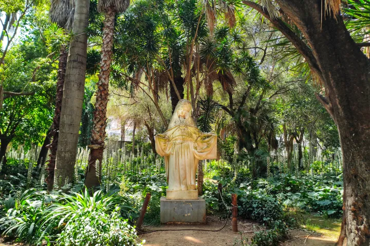 Algiers Hamma Botanical Garden Traditional Outfit in Algeria