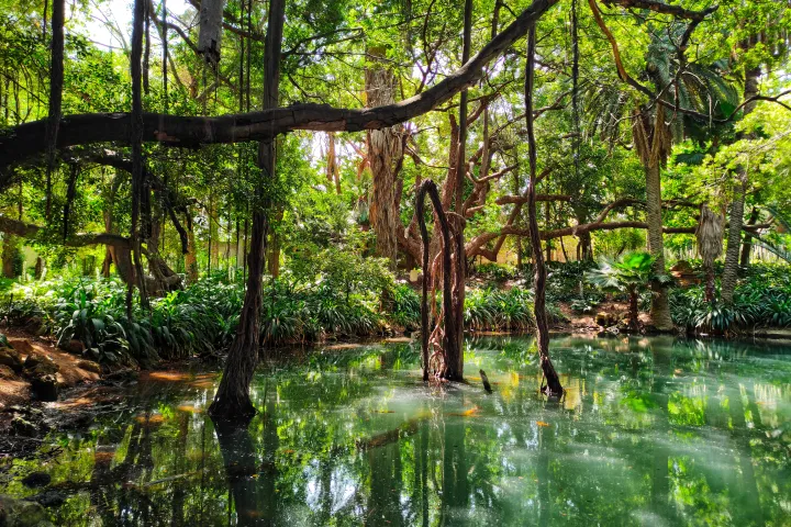 Algiers Hamma Botanical Garden View in Algeria