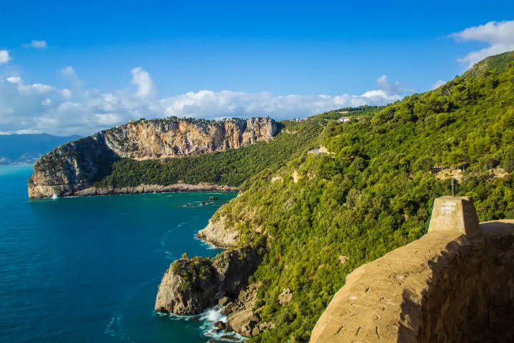Bejaia Capcarbon 245640804 in Algeria