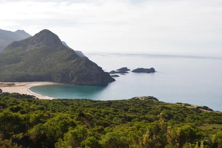 Oran Madagh Beach 274863935 in Algeria