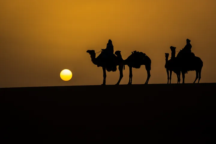Sahara Camels Riders Sunset in Algeria