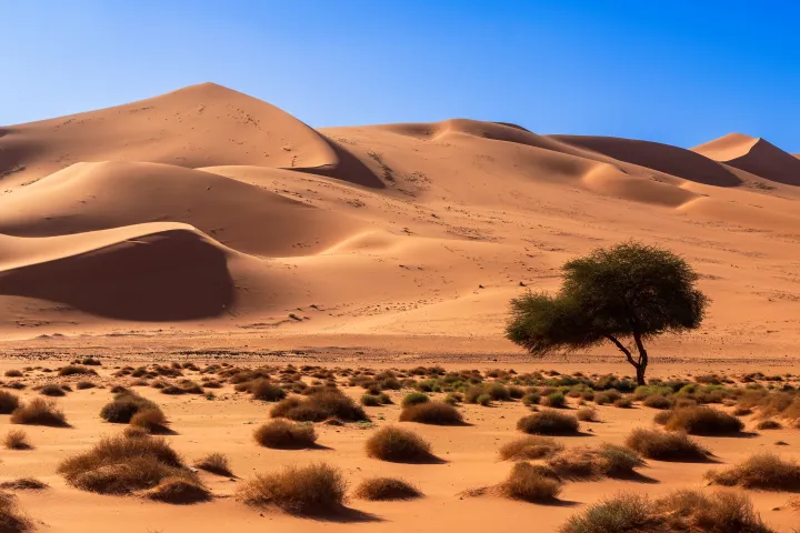 Tadrart Rouge Algerian Desert Rock Formations in Algeria