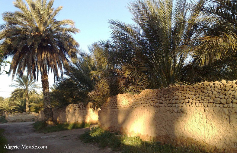 Biskra — chemin biskra