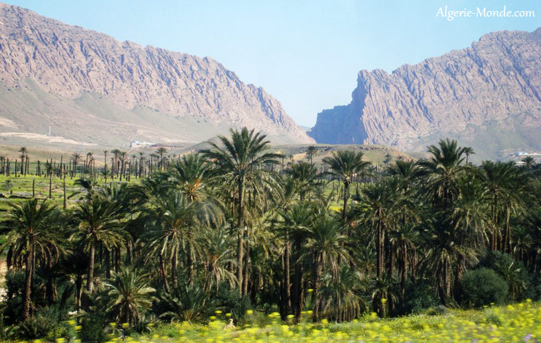 Biskra — vue loin el kantara biskra
