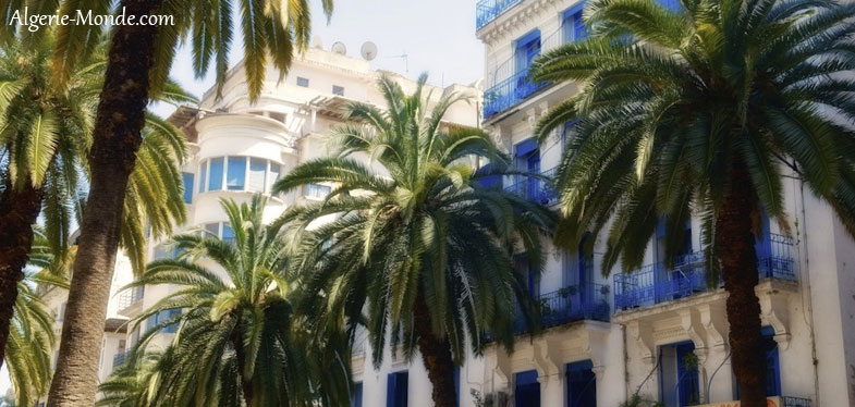 Rue Didouche Mourad à Alger