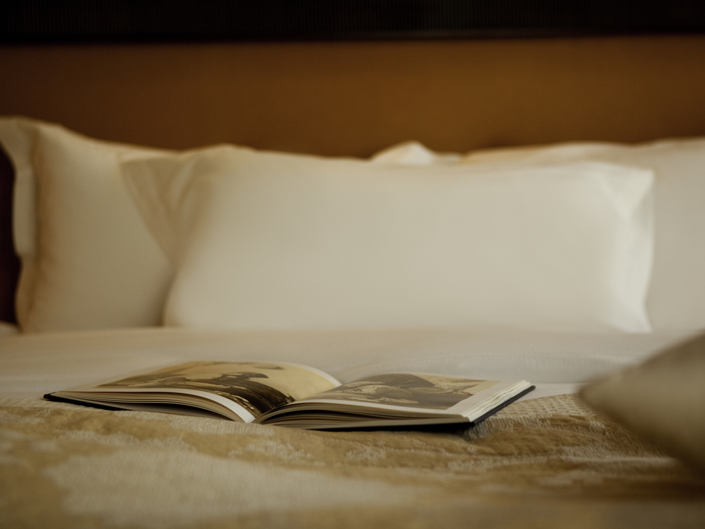 Royal Hotel Oran official Accor photo
