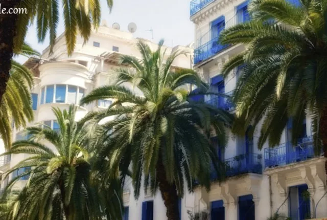 Didouche mourad alger in Algiers, Algeria