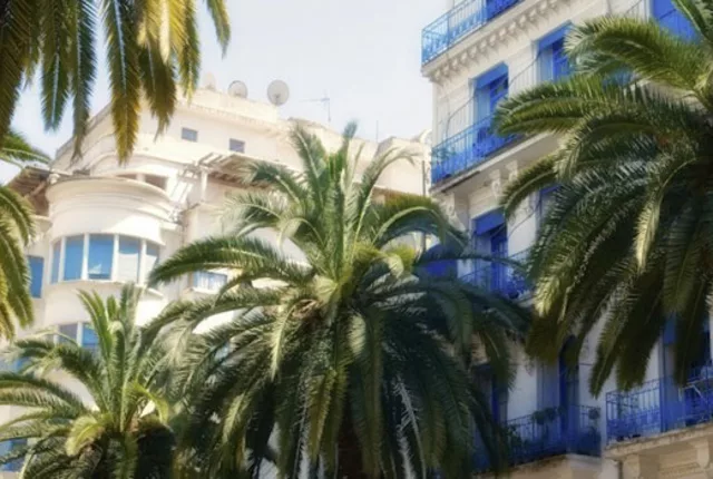 Rue didouche mourad ville alger in Algiers, Algeria