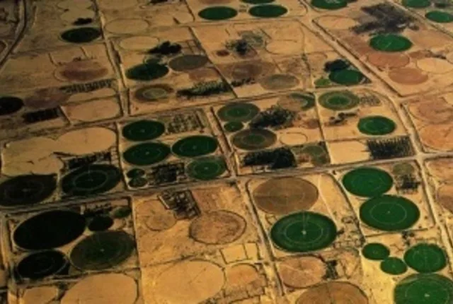 Agriculture el oued sahara algerie in Algiers, Algeria