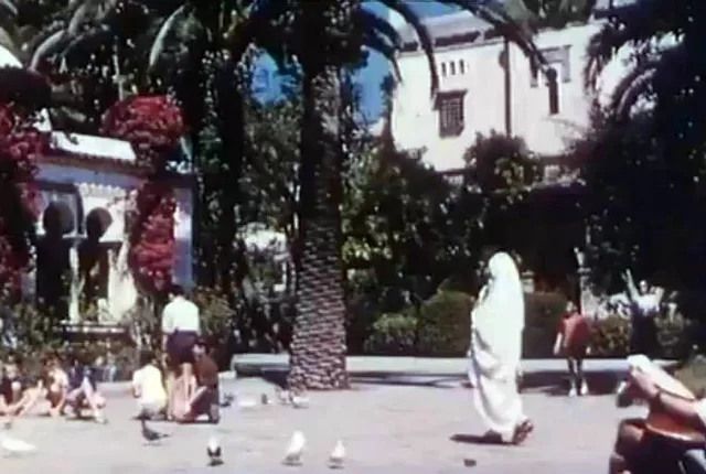 Jardins publics video alger in Algiers, Algeria