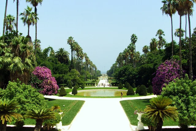 Jardin essai alger 1 in Algiers, Algeria