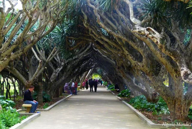 Jardin essai alger 2 in Algiers, Algeria