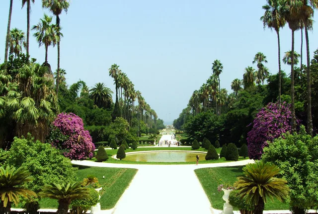 Jardin essai alger 3 in Algiers, Algeria