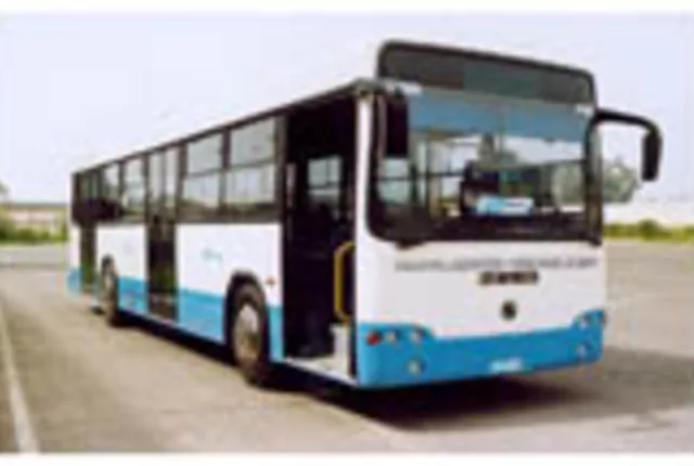 Bus algerie in Algiers, Algeria