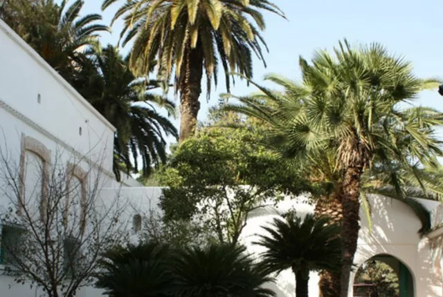 Cour villa abd el tif belouizdad alger in Algiers, Algeria