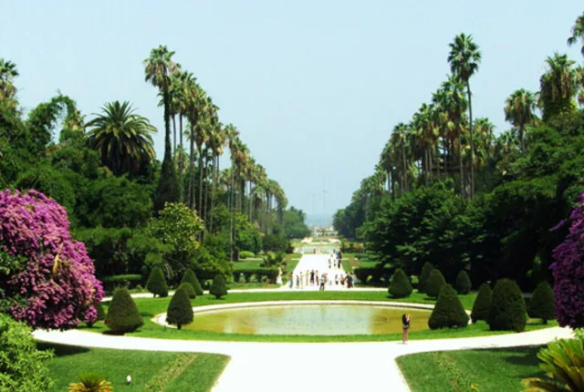 Jardin essai alger in Algiers, Algeria
