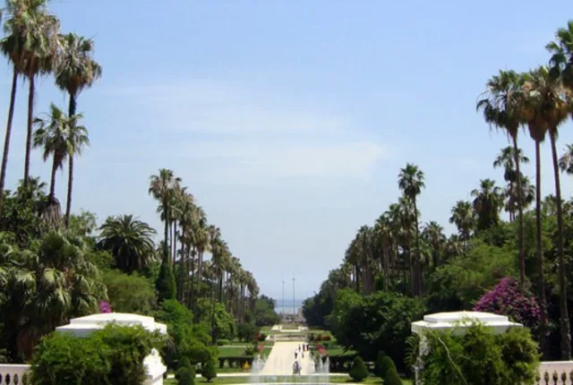 Jardin essai alger in Algiers, Algeria