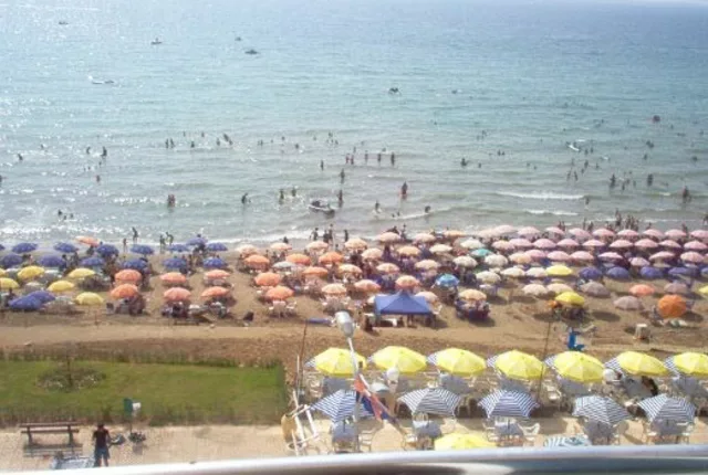 Plage palm beach staoueli alger in Algiers, Algeria