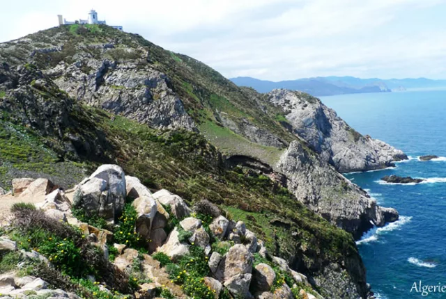Phare ras el hamra annaba 1 in Annaba, Algeria