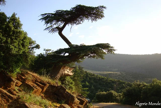 Hauteurs batna in Batna, Algeria