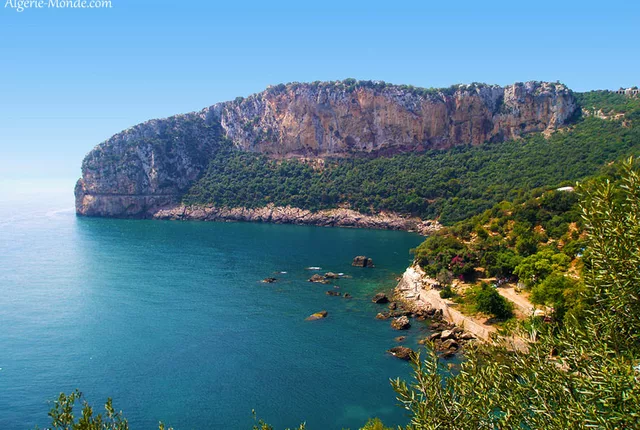 Cap carbon bejaia 1 in Béjaïa, Algeria