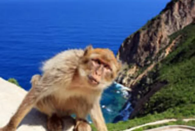 Cap carbon bejaia in Béjaïa, Algeria