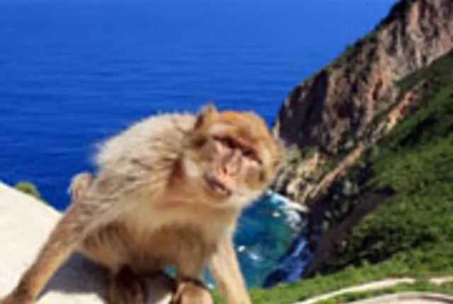 Pic des singes bejaia in Béjaïa, Algeria