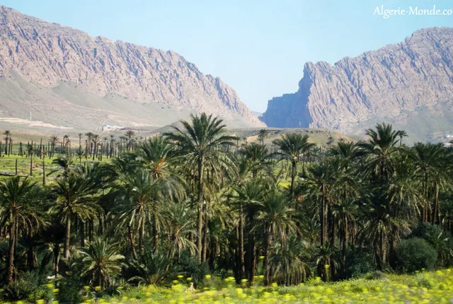 Vue loin el kantara biskra in Biskra, Algeria
