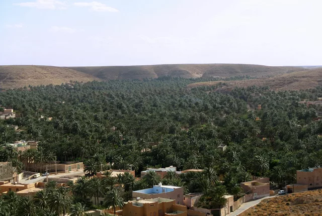 Palmeraie ghardaia 1 in Ghardaïa, Algeria