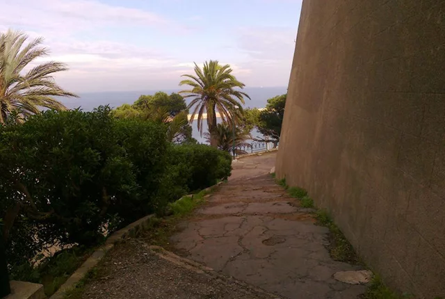 Jardin ibn badis oran 1 in Oran, Algeria
