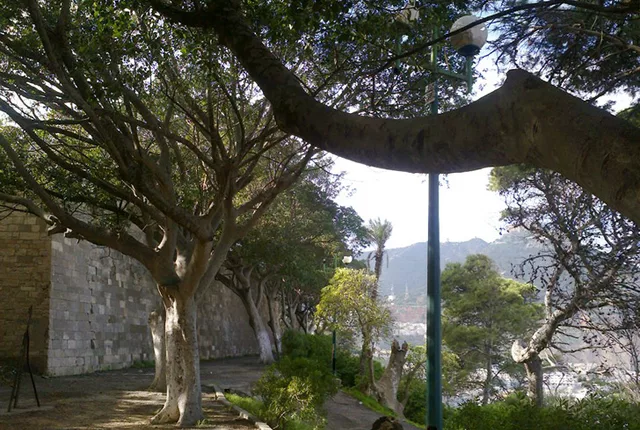 Jardin ibn badis oran 3 in Oran, Algeria