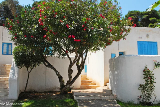 Complexe touristique corne dor in Tipaza, Algeria