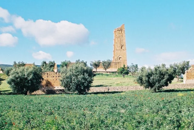 Ruines mansourah tlemcen in Tlemcen, Algeria