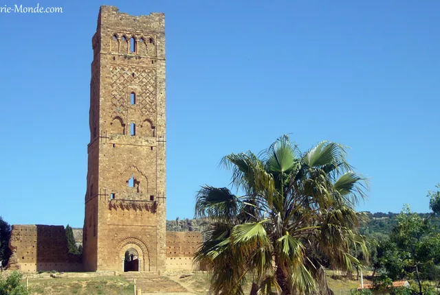 Minaret mansourah tlemcen in Tlemcen, Algeria