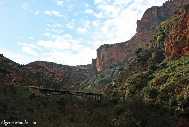 El ourit tlemcen 1 in Tlemcen, Algeria