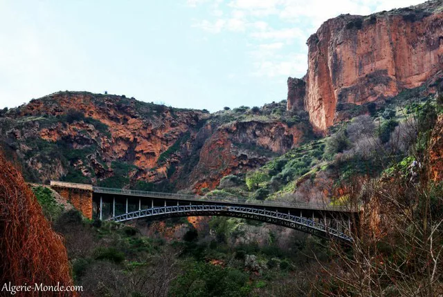 El ourit tlemcen 2 in Tlemcen, Algeria