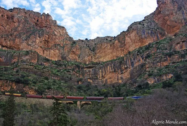 El ourit tlemcen 3 in Tlemcen, Algeria