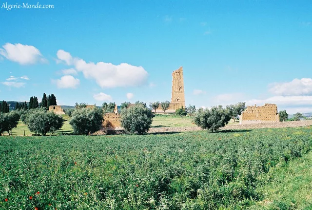 Mansourah tlemcen 1 in Tlemcen, Algeria