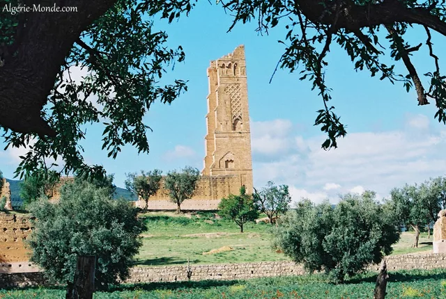 Mansourah tlemcen 2 in Tlemcen, Algeria