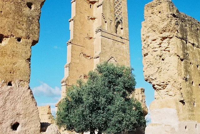 Mansourah tlemcen 3 in Tlemcen, Algeria