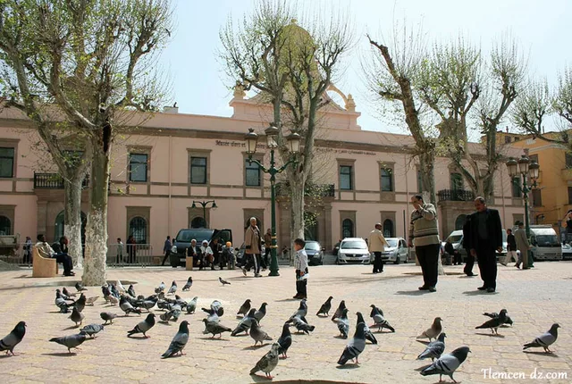 Musee art histoire tlemcen in Tlemcen, Algeria