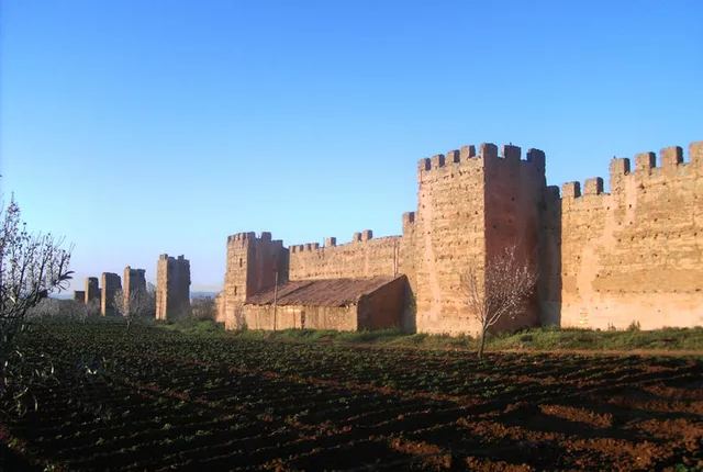 Remparts mansourah tlemcen in Tlemcen, Algeria