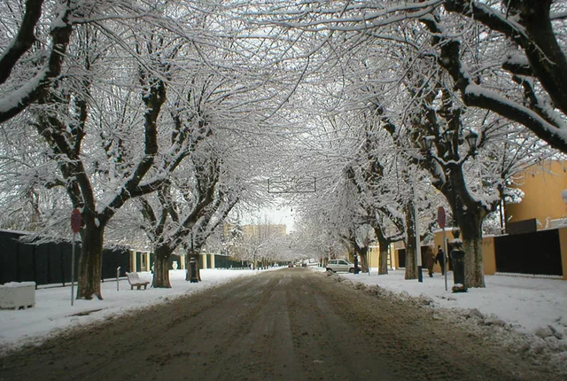 Tlemcen neige in Tlemcen, Algeria