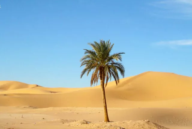 Dune sable ouargla in Ouargla, Algeria