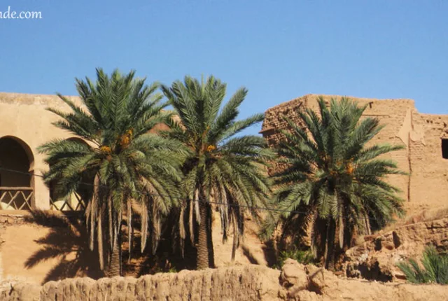 Ksar boussemghoun el bayadh in El Bayadh, Algeria