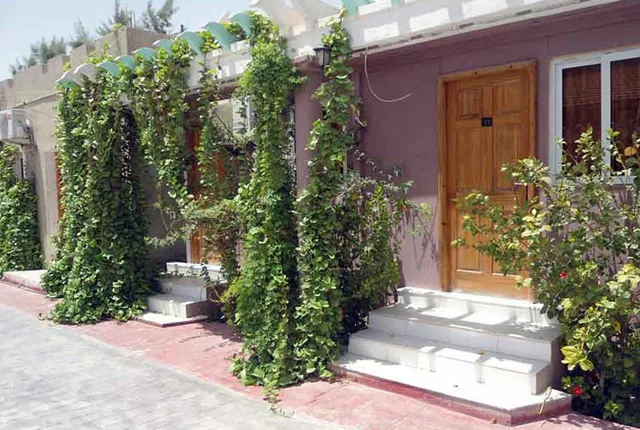 Residence amimeur hassi messaoud in Hassi Messaoud / Ouargla, Algeria