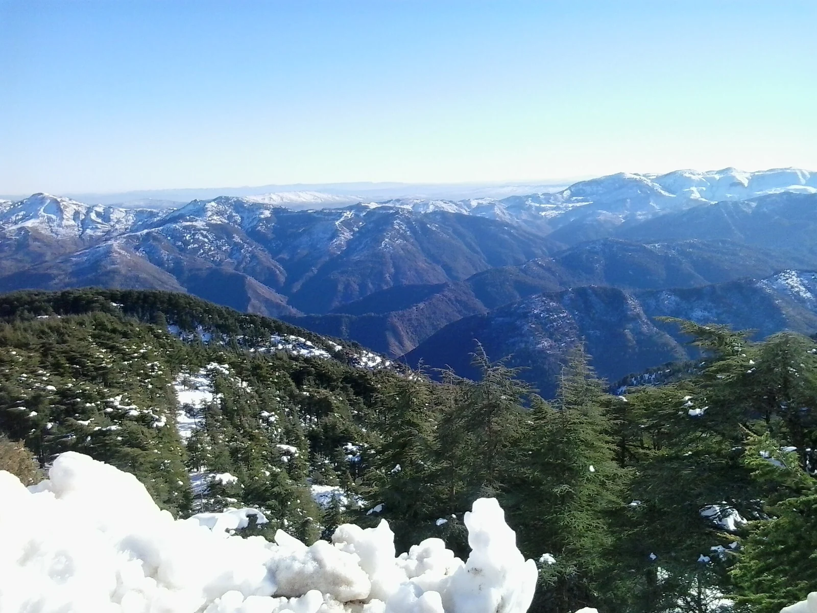 Snowy mountain ridges above a foreground of dark conifers and snow at Chréa.