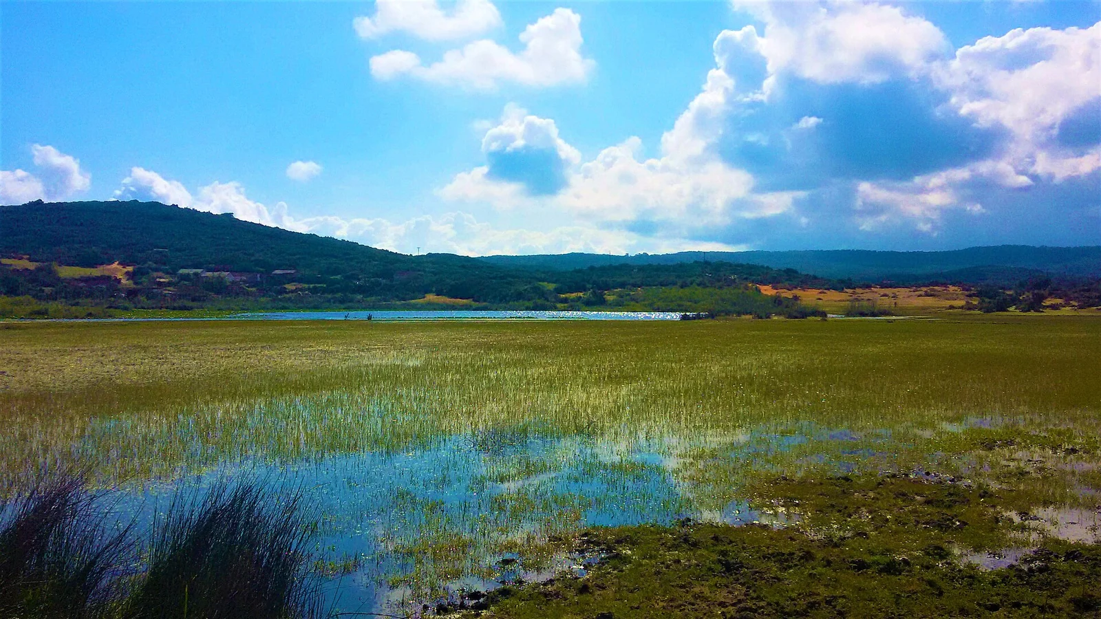 Aguas poco profundas y plantas palustres al pie de colinas bajas, bajo un cielo cubierto de nubes.